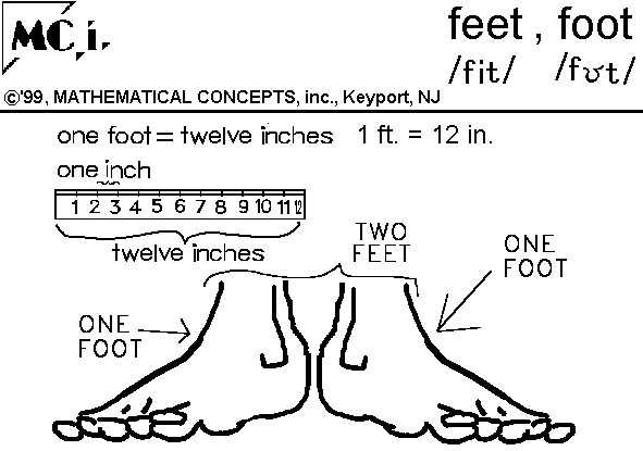 Feet Foot Ft