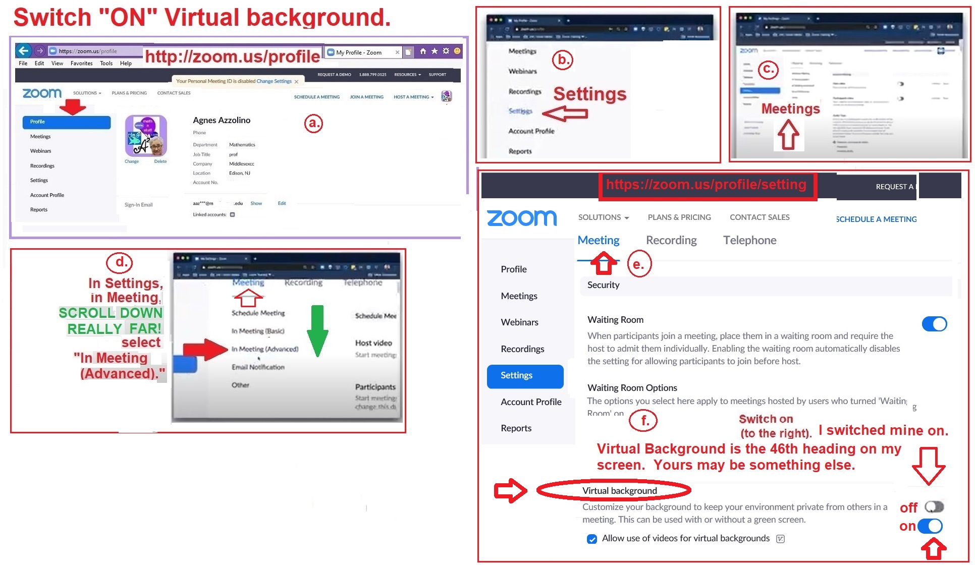 ZOOM4, Change Background Using Existing ZOOM Setup